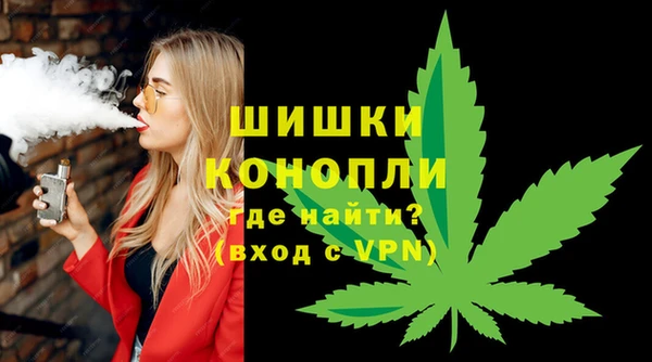 молекула духа Арсеньев