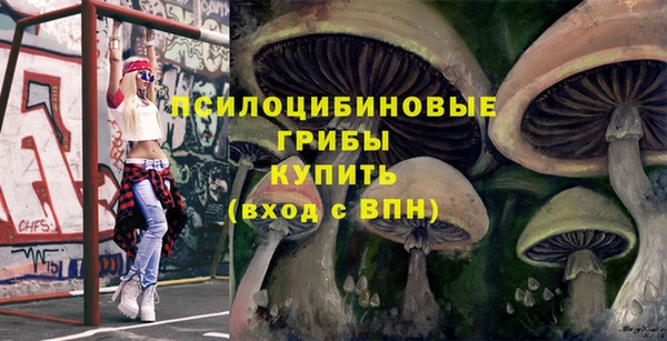 молекула духа Арсеньев