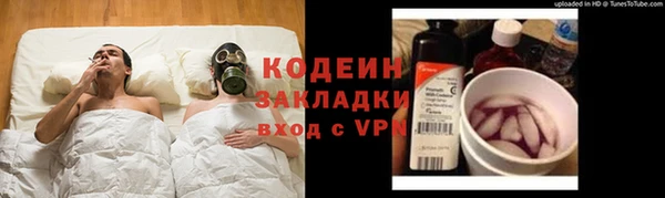 молекула духа Арсеньев