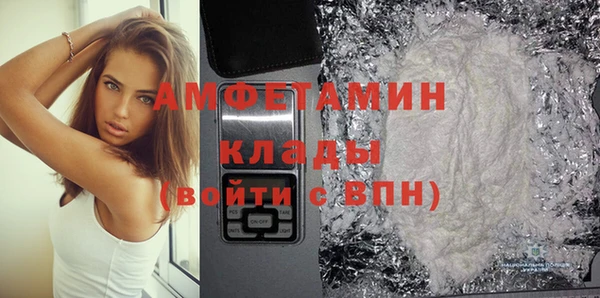 молекула духа Арсеньев