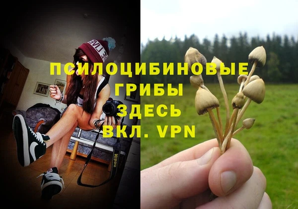 молекула духа Арсеньев