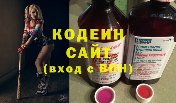 молекула духа Арсеньев