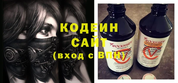 индика Заволжье