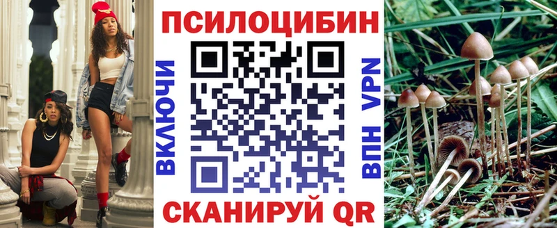 Псилоцибиновые грибы Psilocybe  Стародуб 